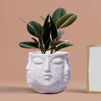 Face White Ceramic Pots for Indoor Plants, Planters, Flower, Pots, gamla, Outdoor, Balcony, Home, Garden, Office Decor, Succulent Pot(H - 10 X D - 10 cm)