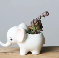 White Baby Elephant Ceramic Pot