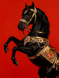 Black Royal Horse Canvas Wall Art | Luxury Decorative Horse Painting