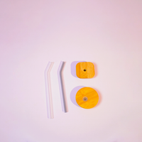 Cherry Bloom Glass Tumbler Set (Set of 2)