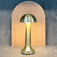 YA11 The Solace Collective Lamps