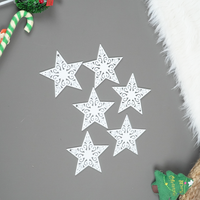 Set of 6 Acrylic Star Christmas Ornament – Elegant Clear Festive Hanging Décor